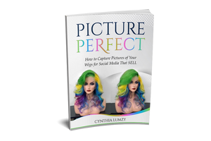 PICTURE PERFECT