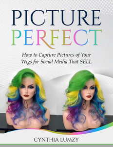 PICTURE PERFECT
